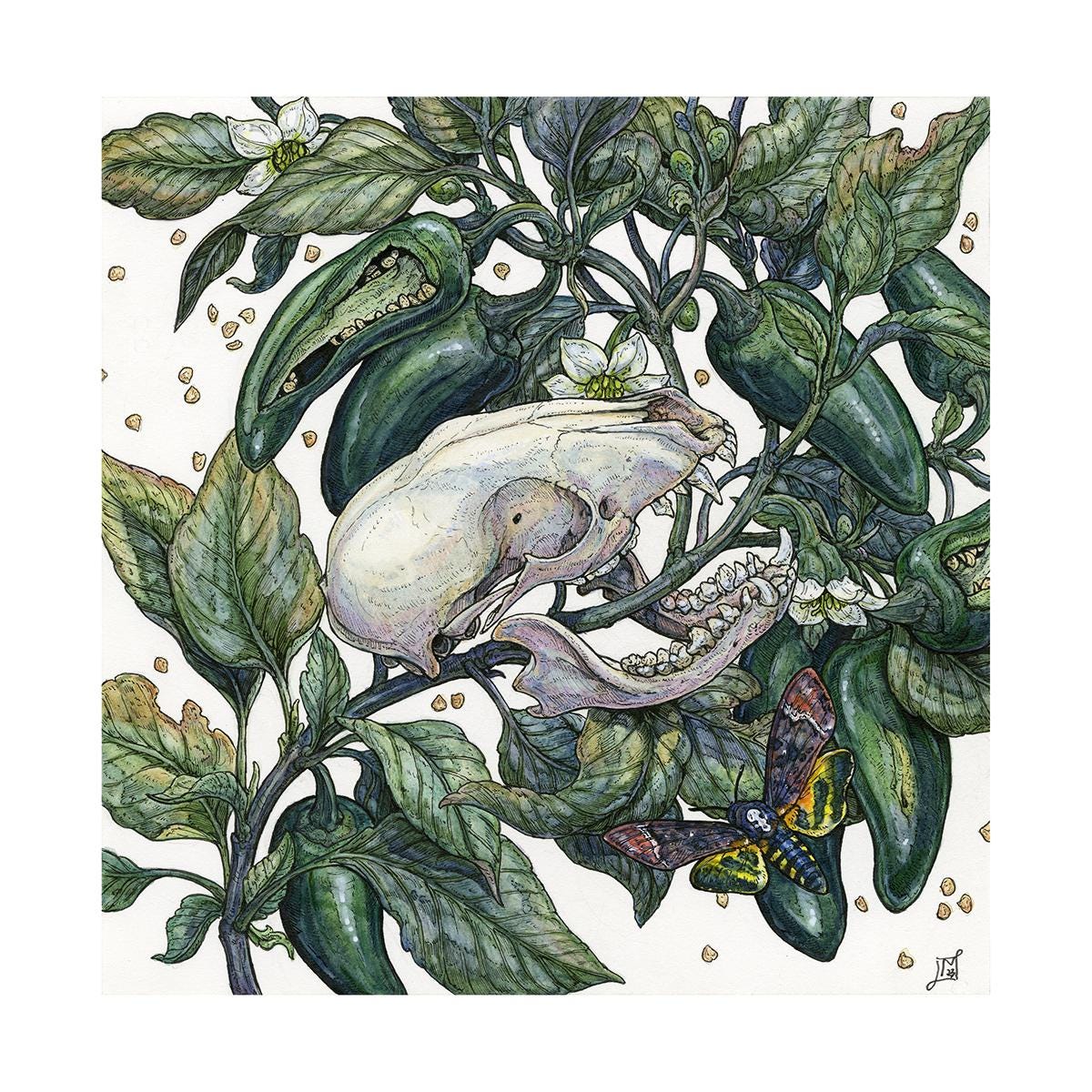 Spicy Limited Edition Print