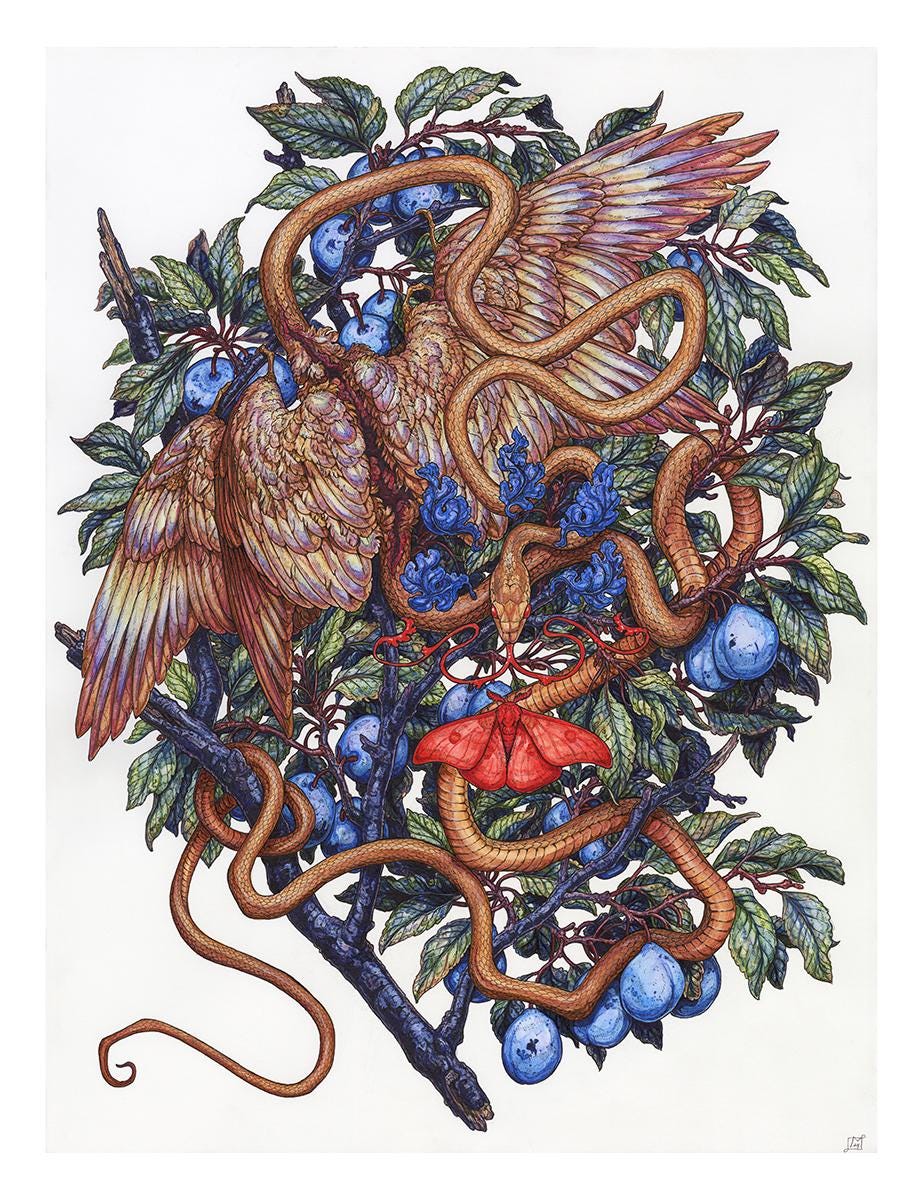 Little Devil in the Plums Limited Edition Print