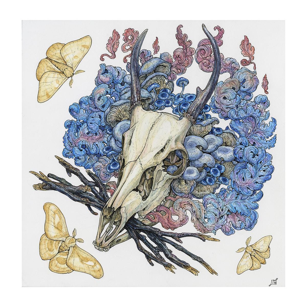 Will-0'-Wisp Limited Edition Print