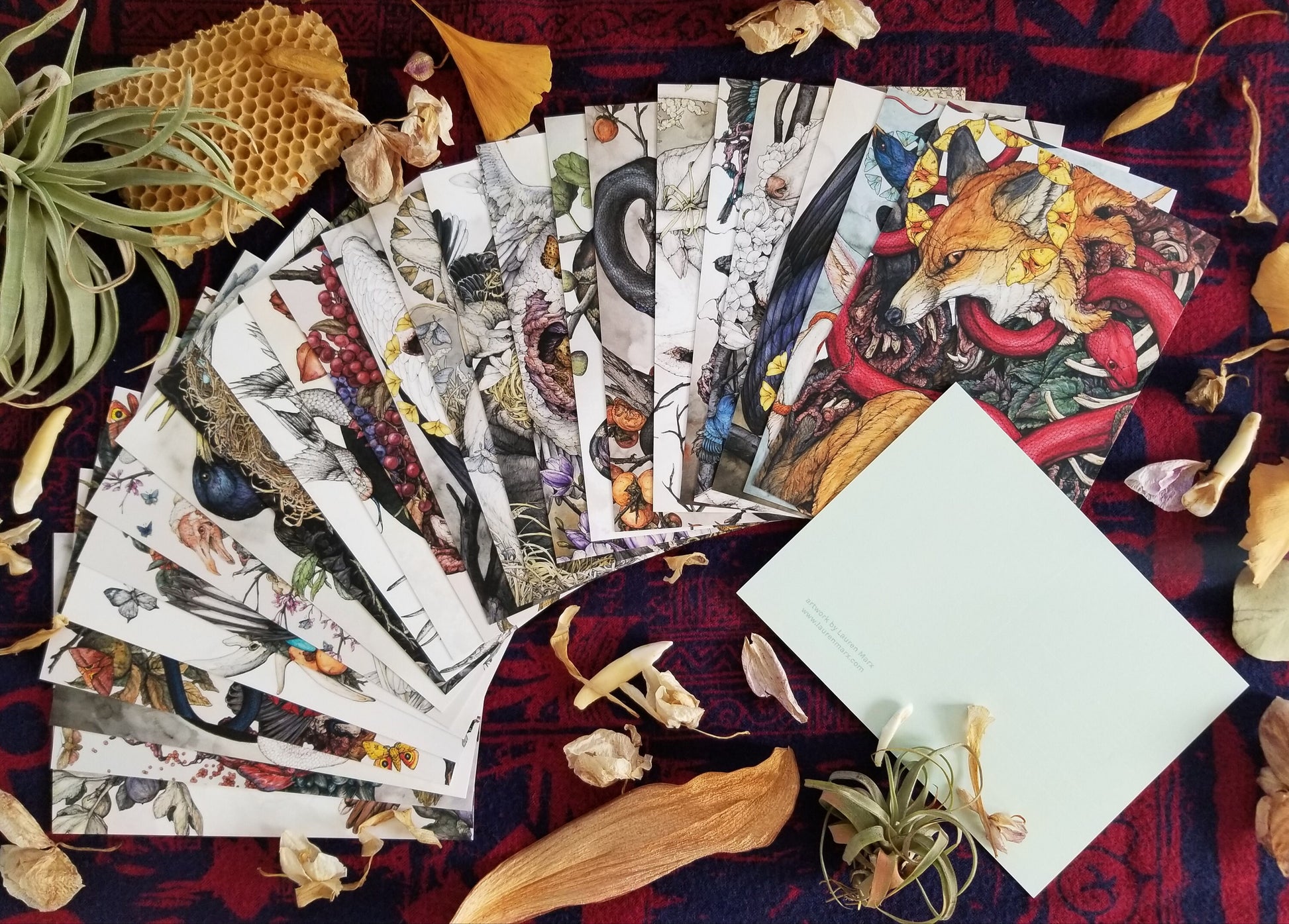 25 Piece Postcard Set: Version 1