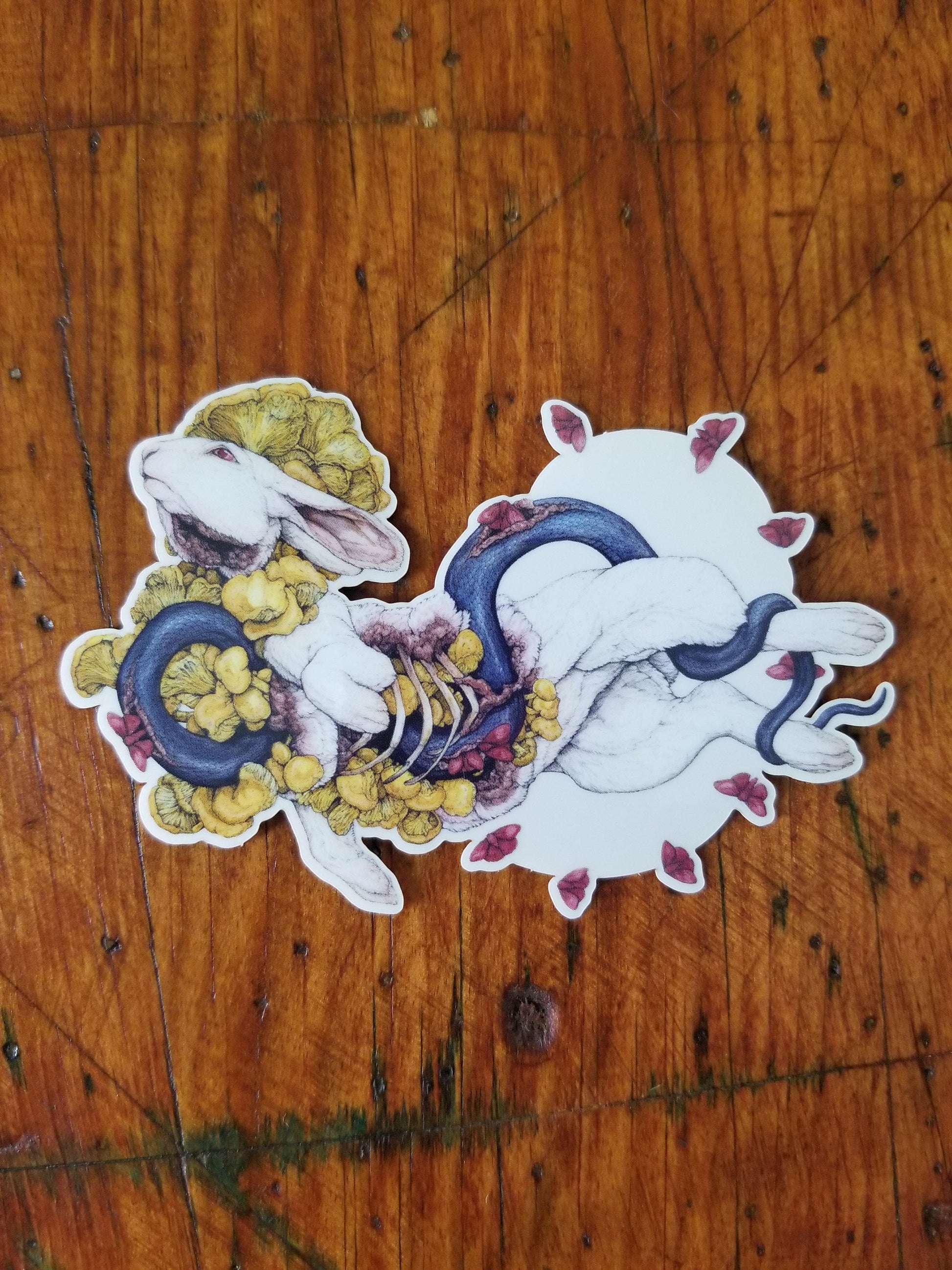 Contemplation of Lepus Sticker