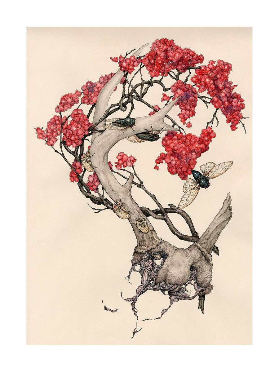 The Red Berries Limited Edition Print