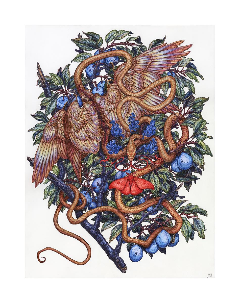 Little Devil in the Plums Limited Edition Mini Print