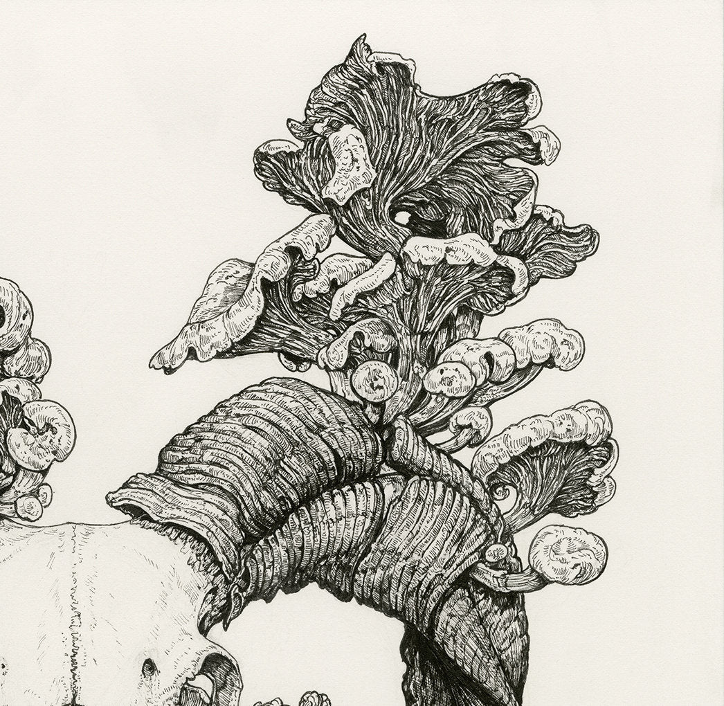 Epitaph Limited Edition Print