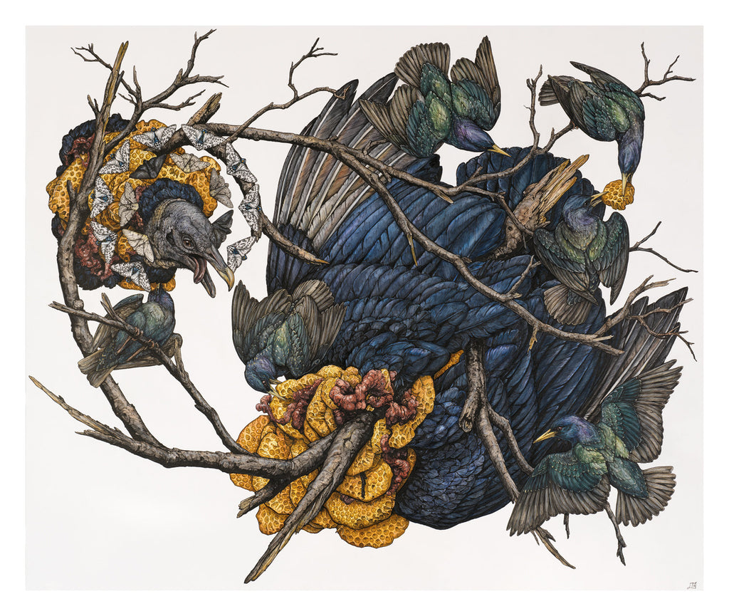Honey Limited Edition Print