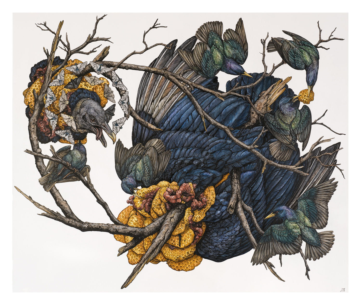 Honey Limited Edition Print
