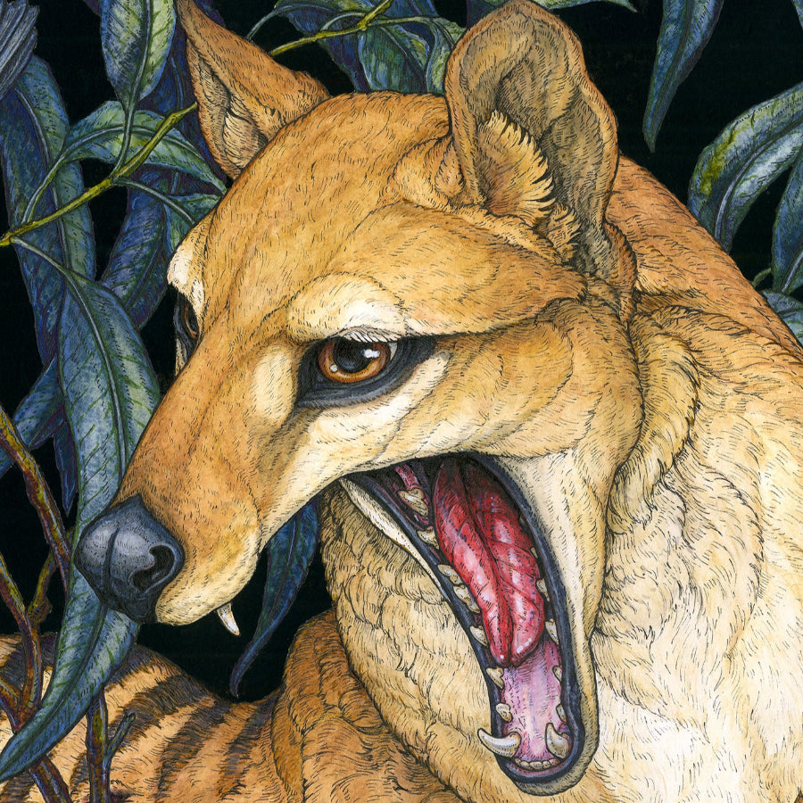 1936 Limited Edition Print – Lauren Marx Art