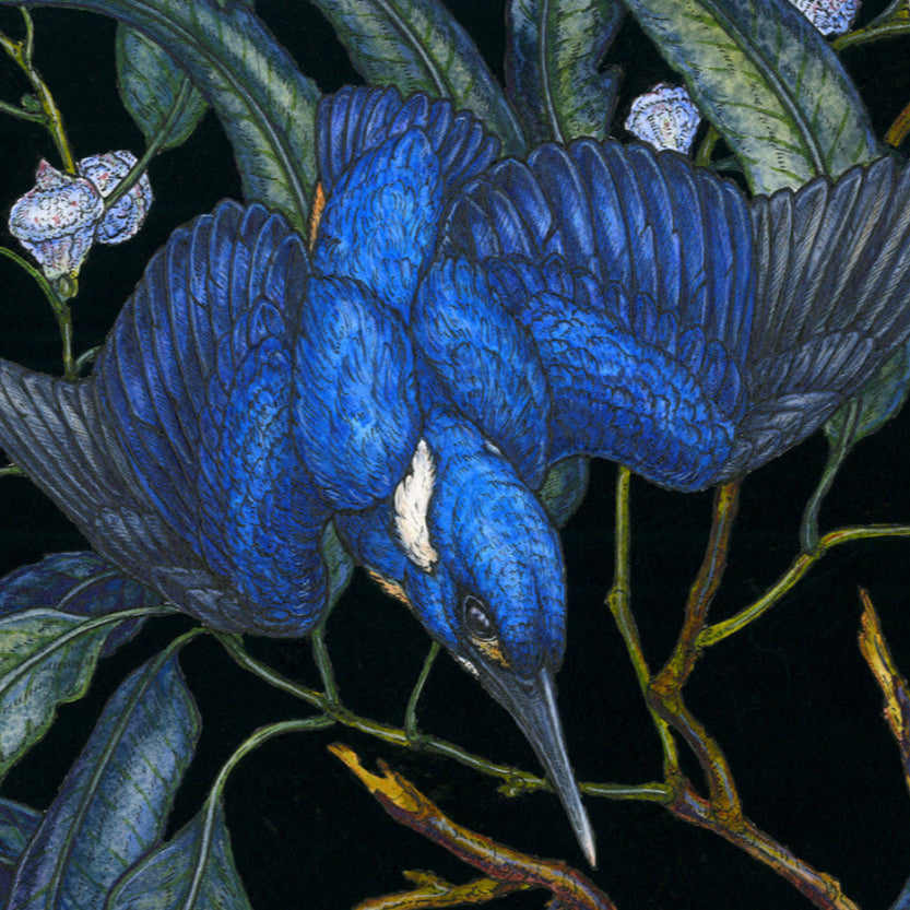 1936 Limited Edition Print