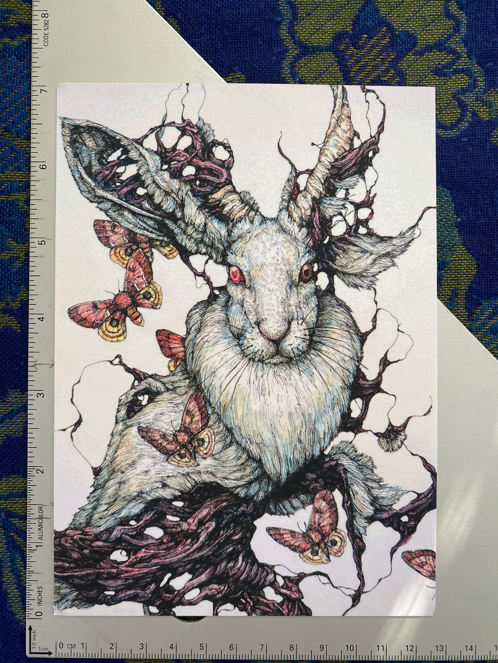 25 Piece Postcard Set: Version 2