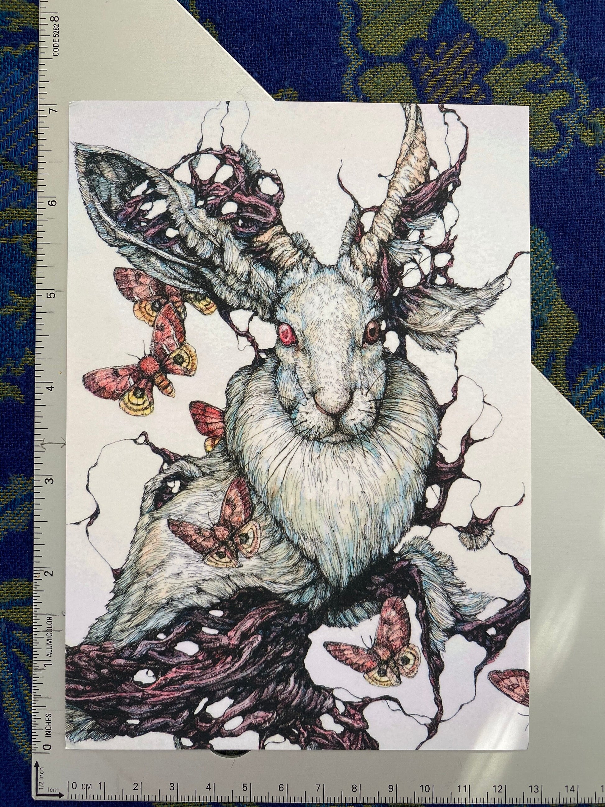 25 Piece Postcard Set: Version 2