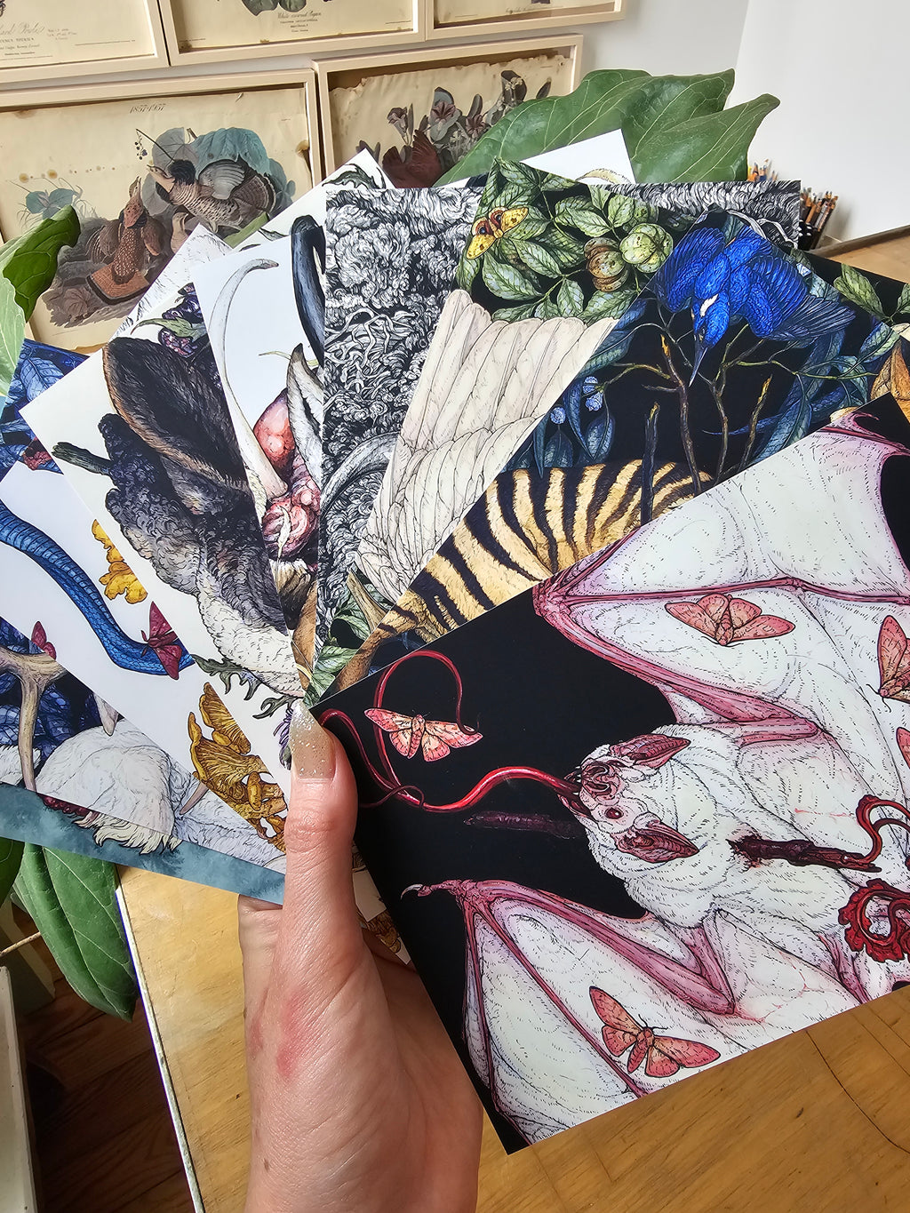 25 Piece Postcard Set: Version 4