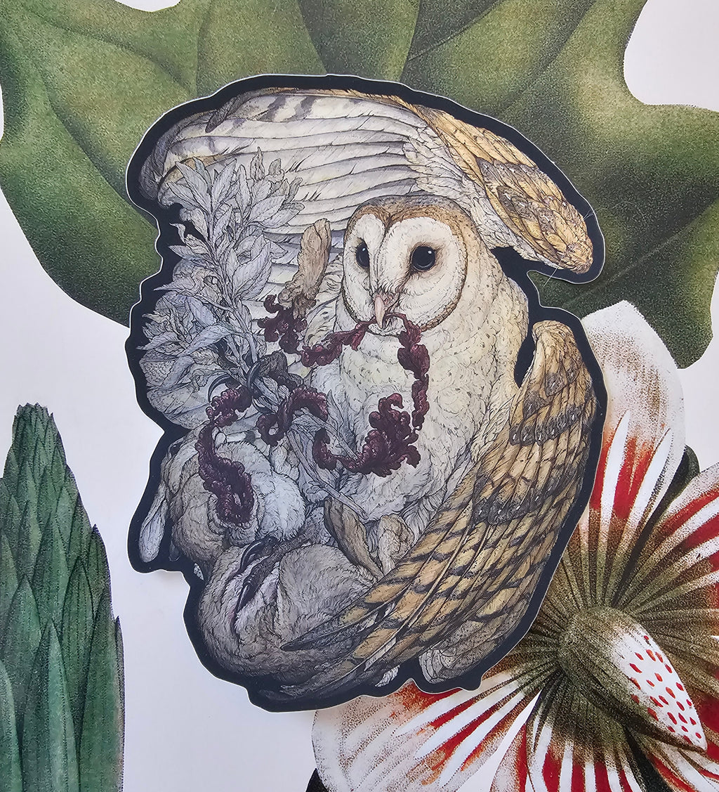 Good Luck Spells Large Owl Sticker