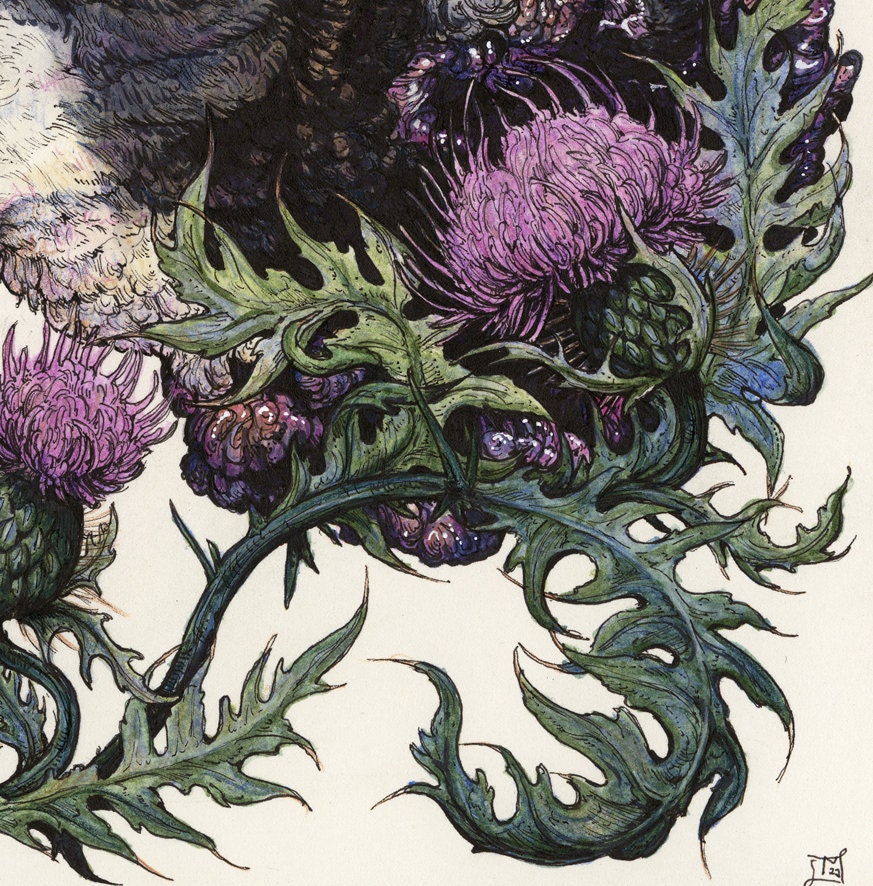 Bleat Limited Edition Print