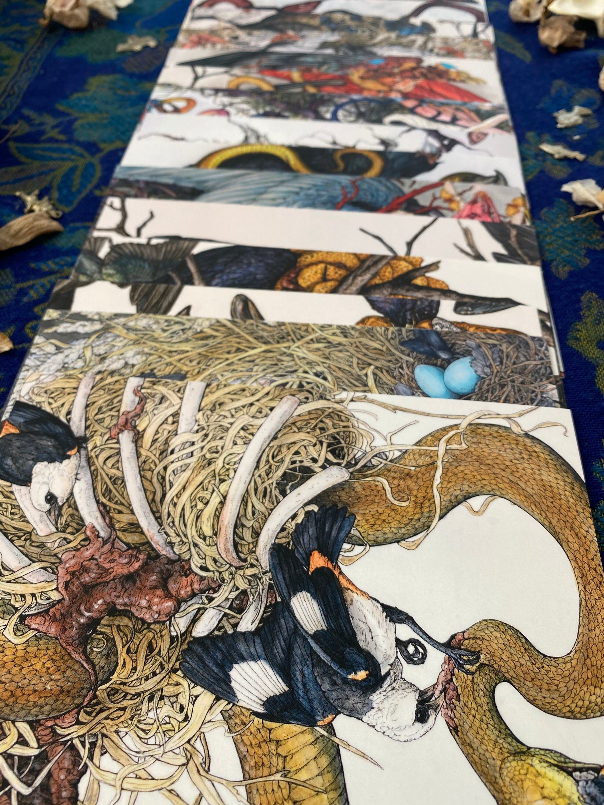 25 Piece Postcard Set: Version 2