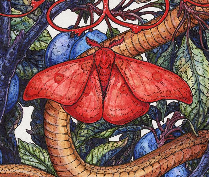 Little Devil in the Plums Limited Edition Print