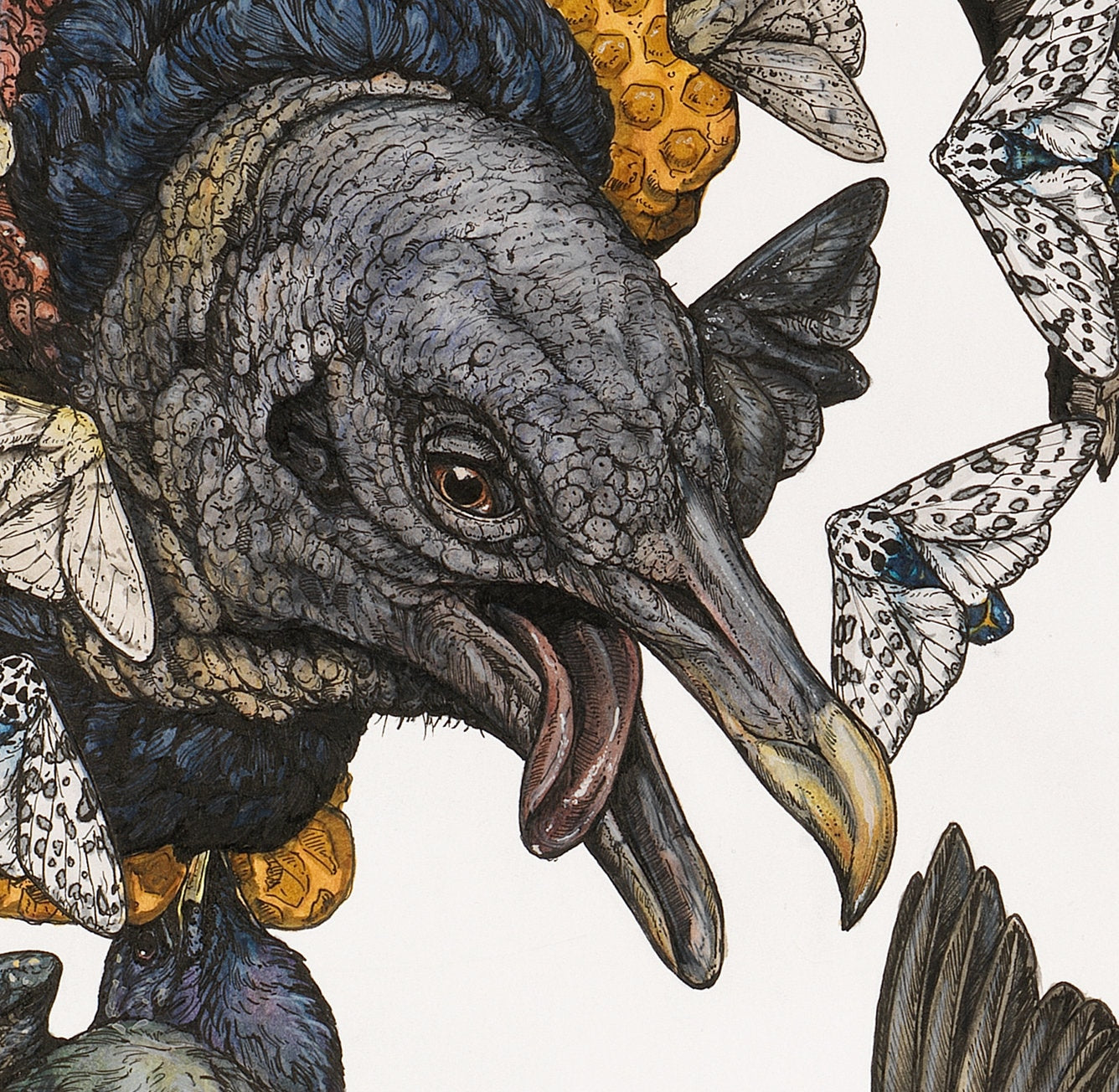 Honey Limited Edition Print
