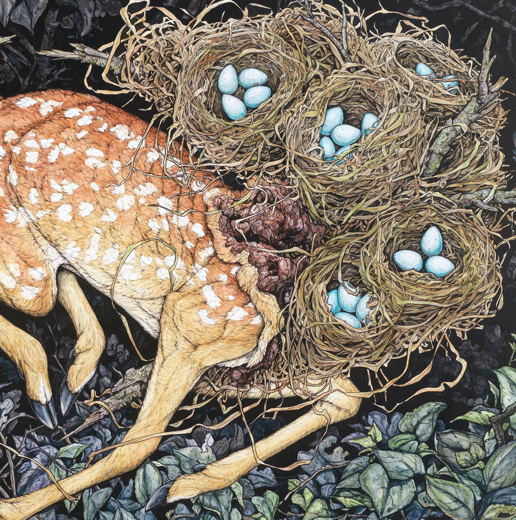 Nested Fawn Limited Edition Print