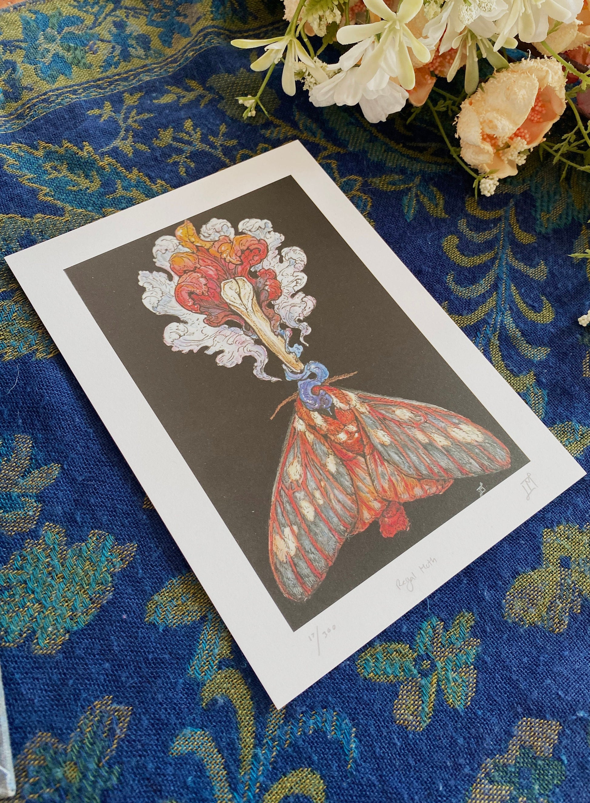 Regal Moth Limited Edition Print