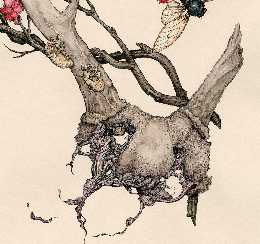 The Red Berries Limited Edition Print
