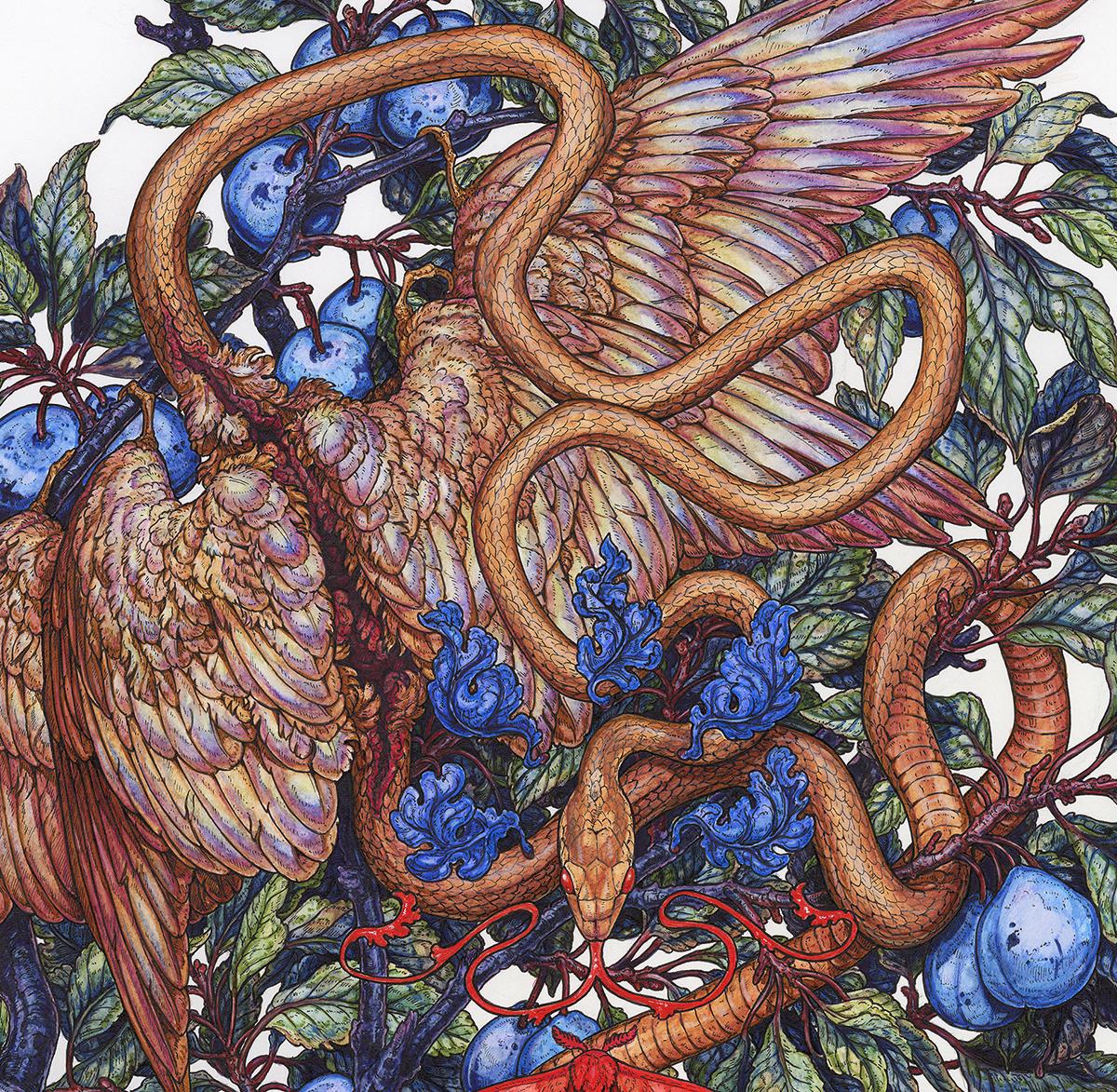 Little Devil in the Plums Limited Edition Print
