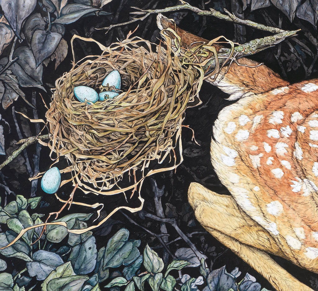 Nested Fawn Limited Edition Print