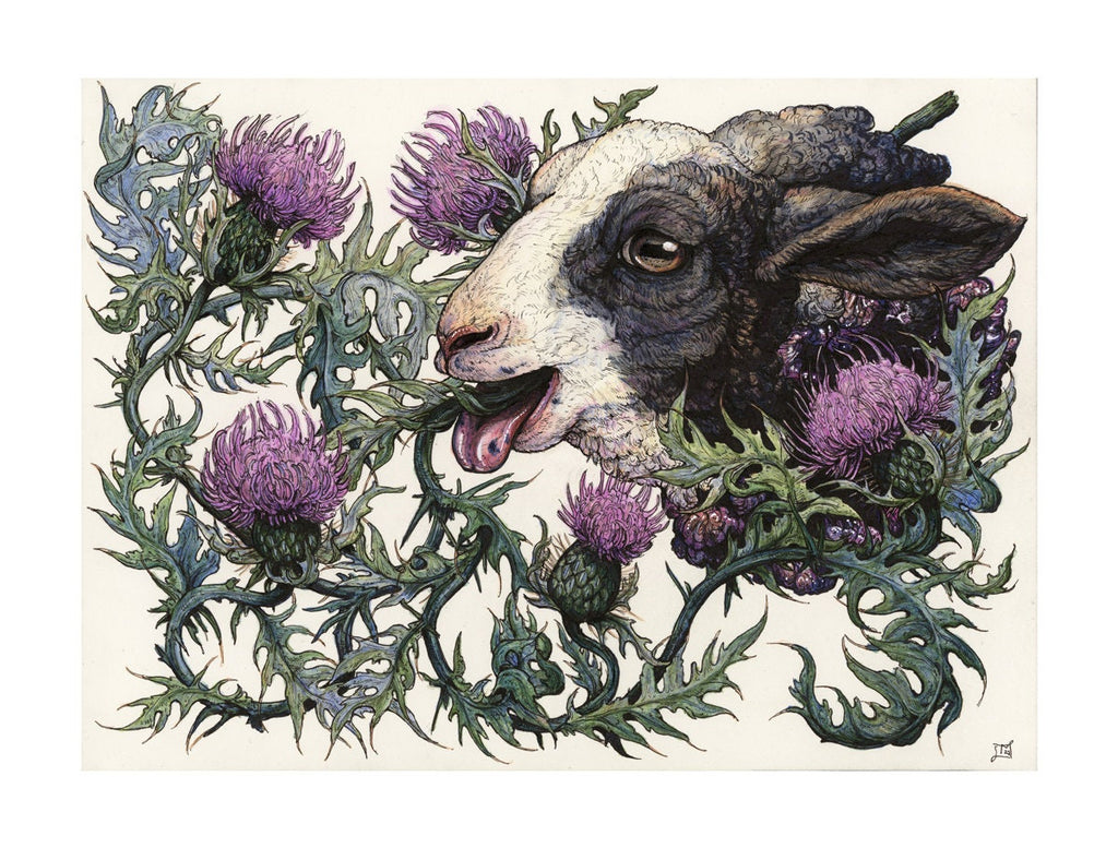 Bleat Limited Edition Print