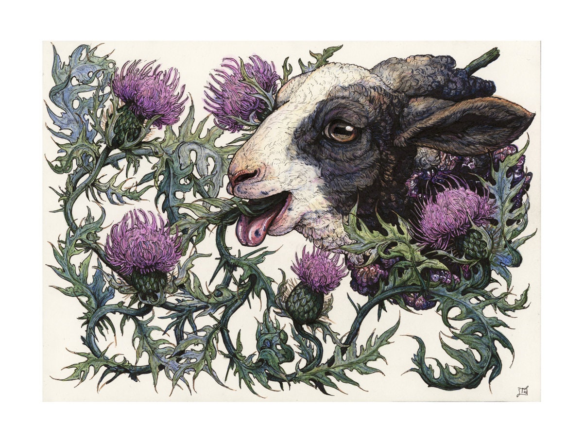 Bleat Limited Edition Print