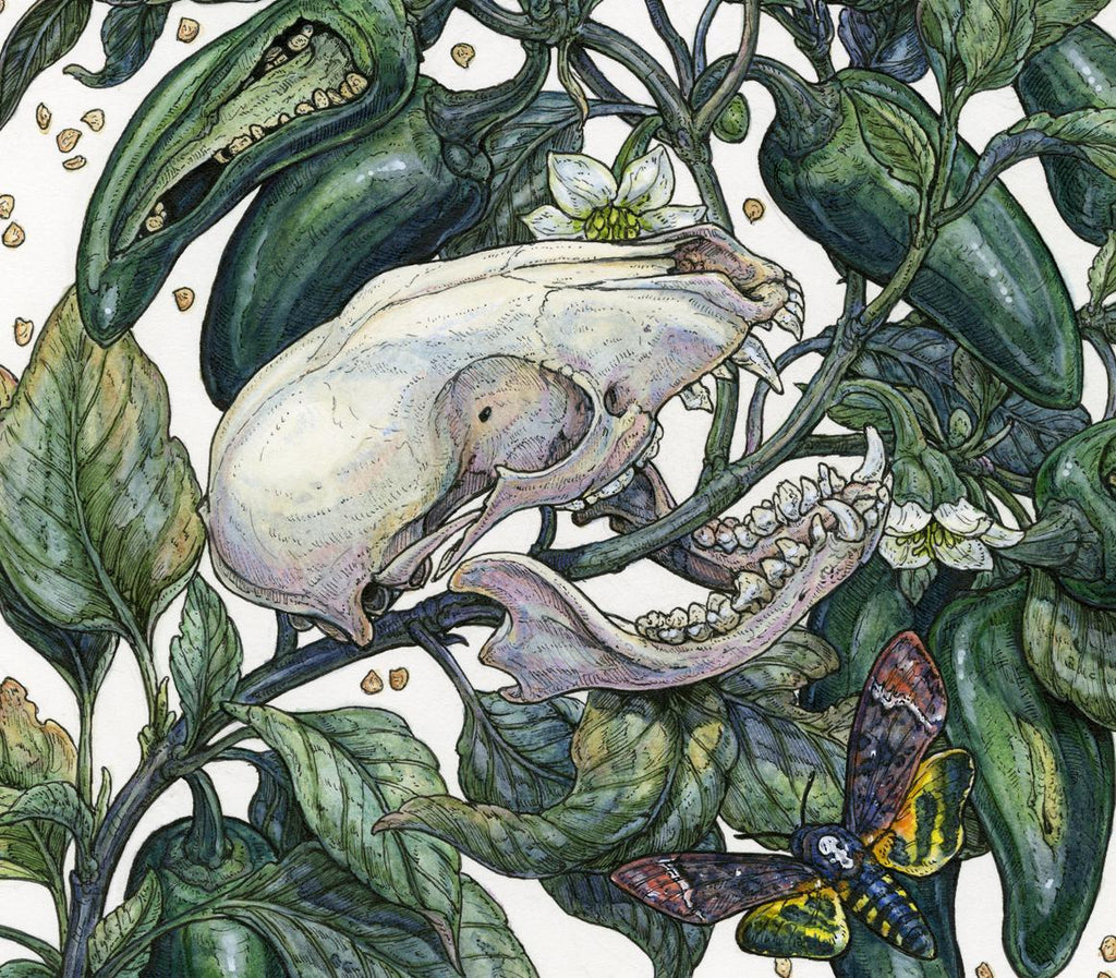 Spicy Limited Edition Print