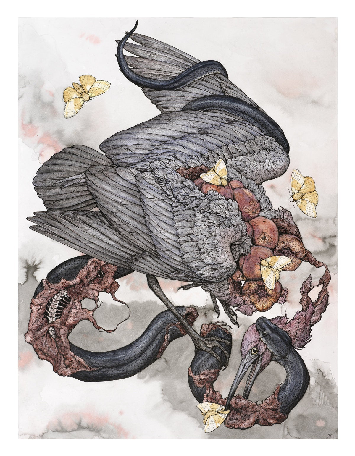 Peach Limited Edition Print