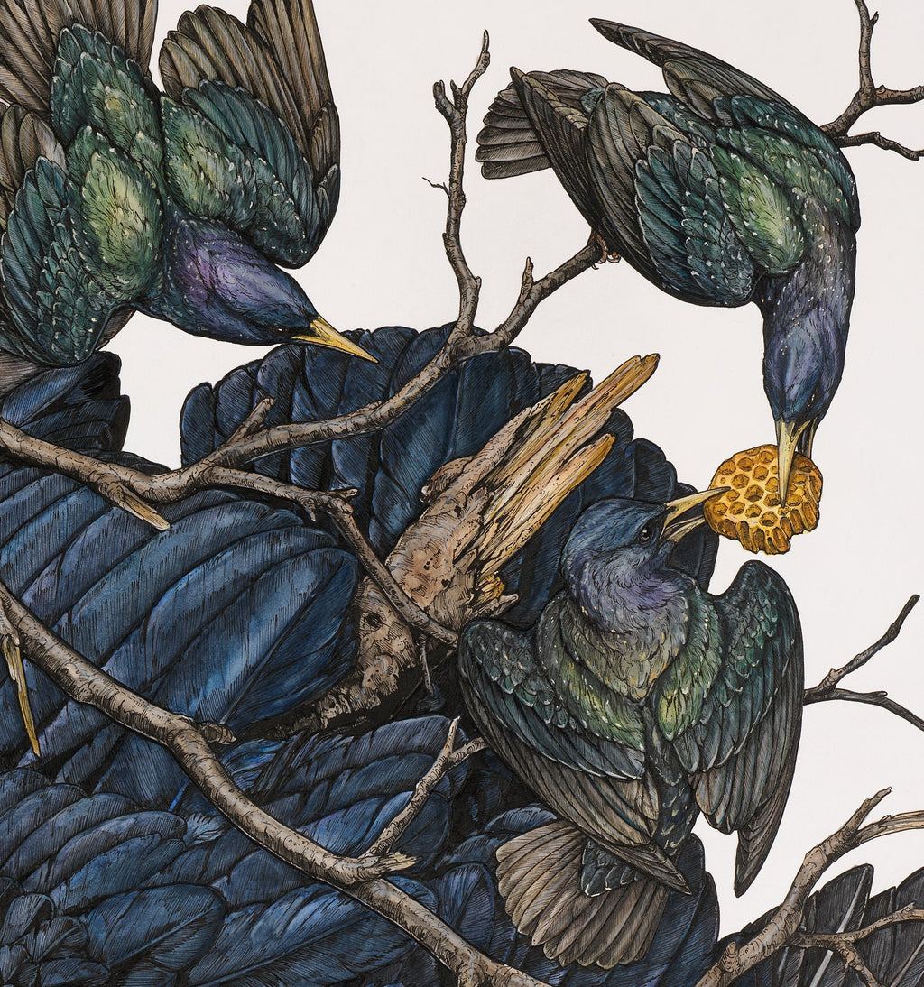 Honey Limited Edition Print