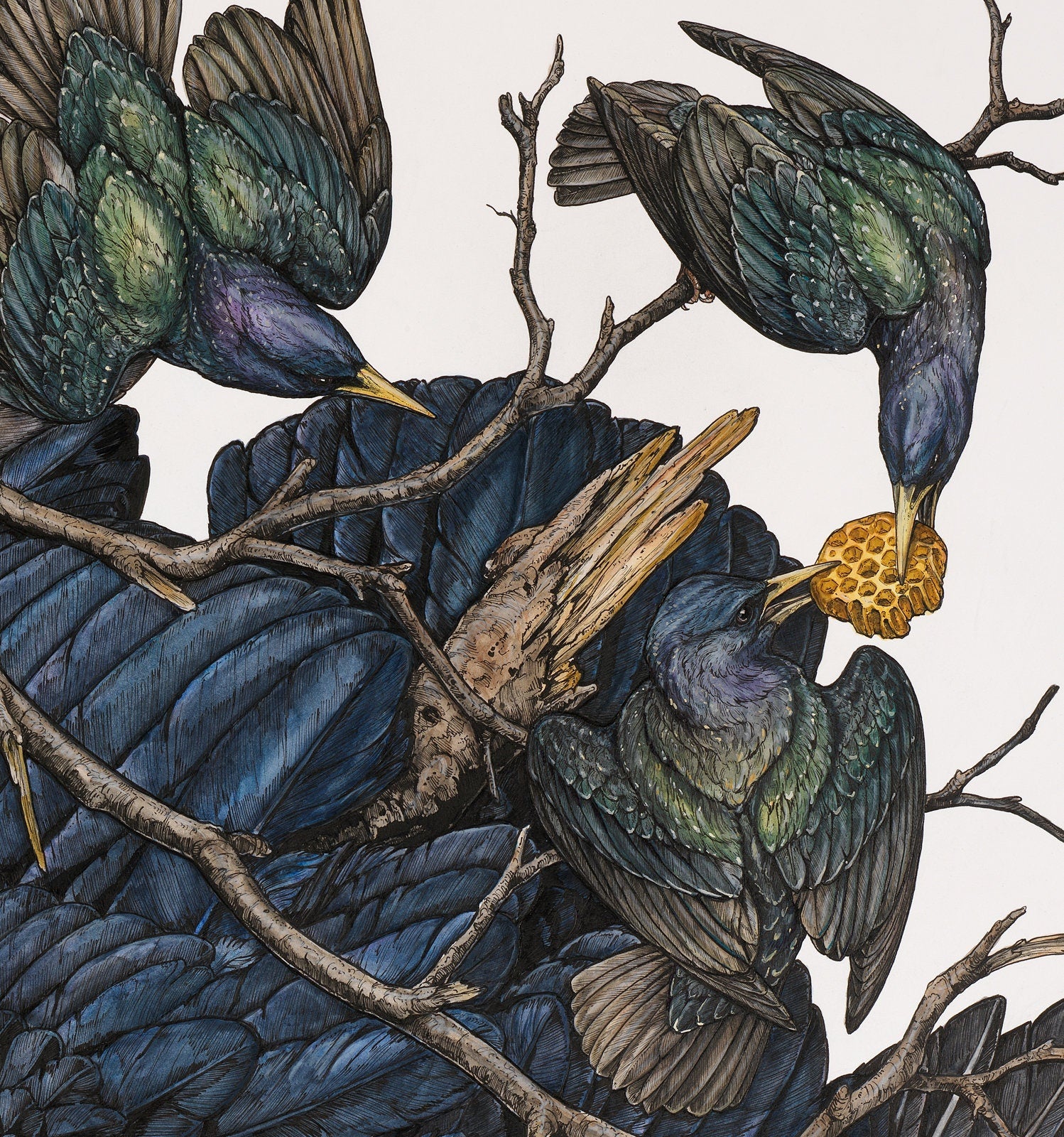 Honey Limited Edition Print