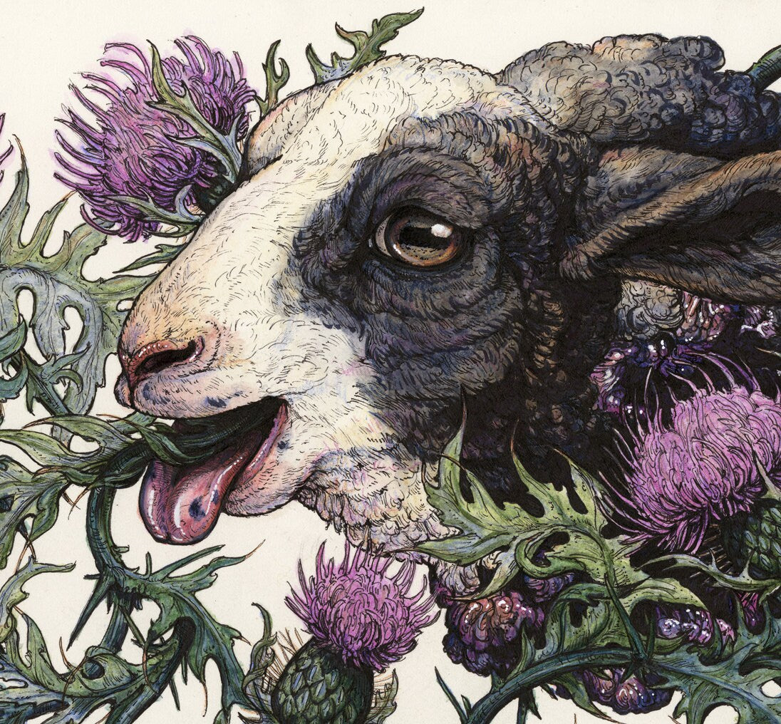 Bleat Limited Edition Print