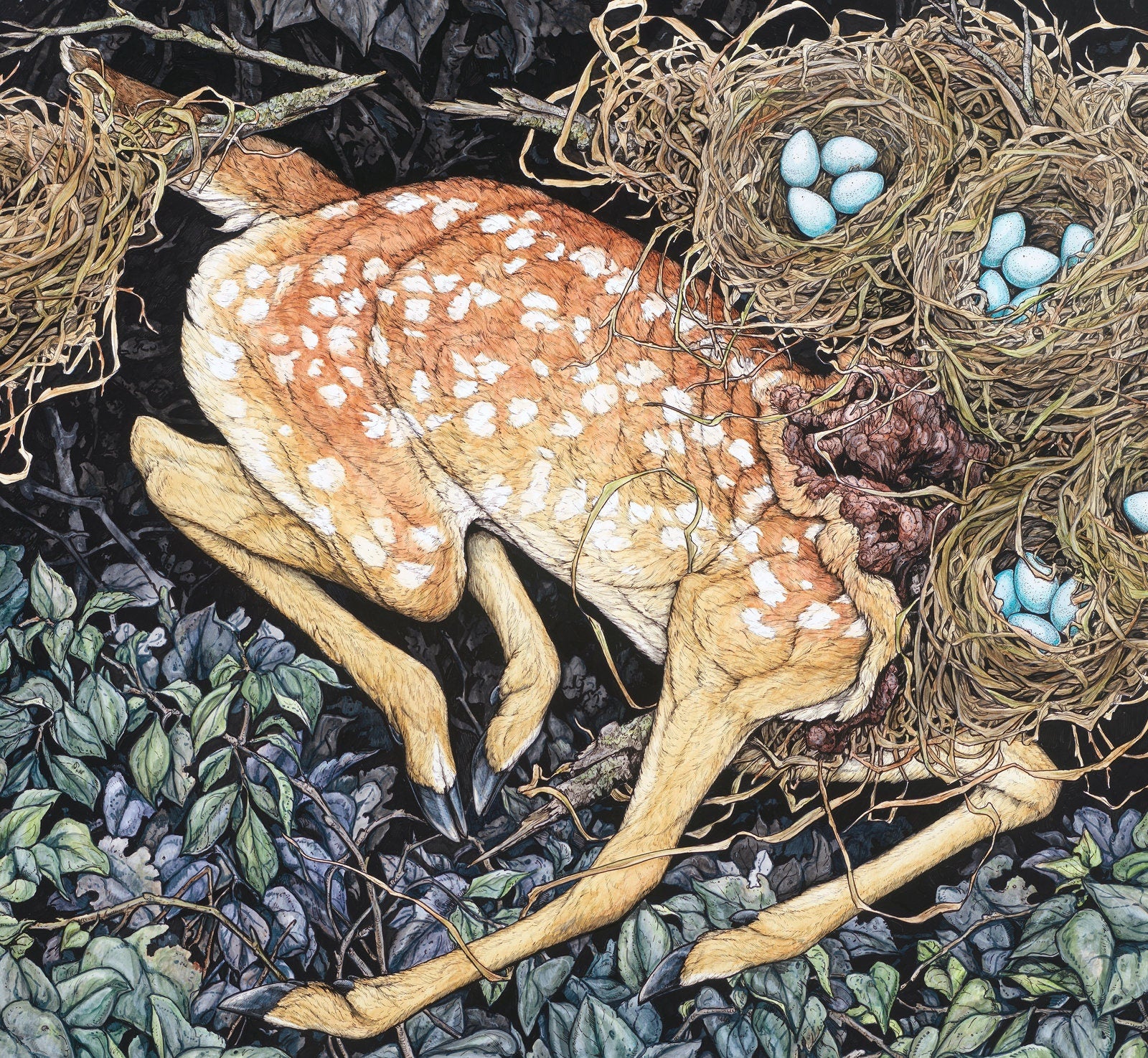 Nested Fawn Limited Edition Print
