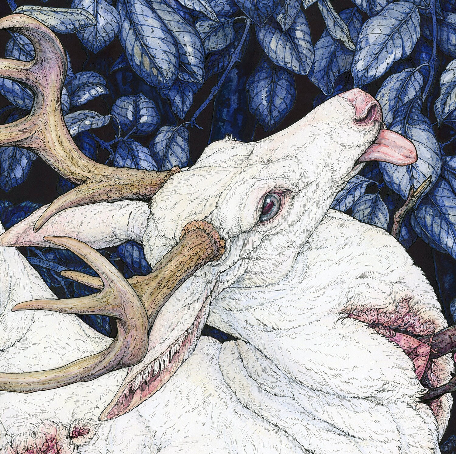Curse of the Preternatural King Limited Edition Large Print
