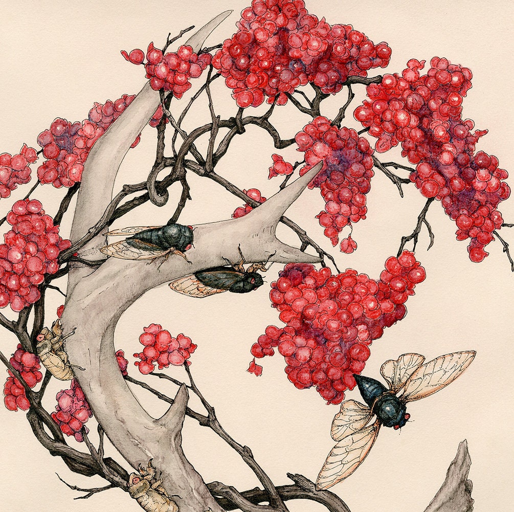 The Red Berries Limited Edition Print