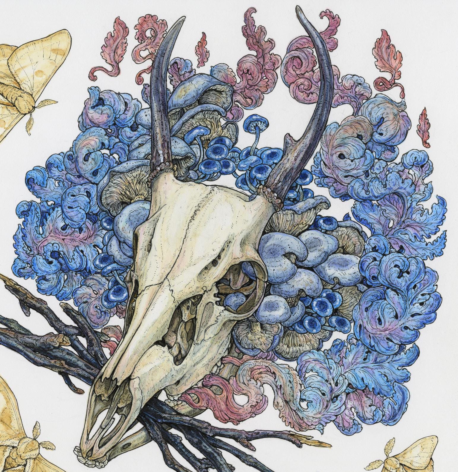 Will-0'-Wisp Framed Original Watercolor