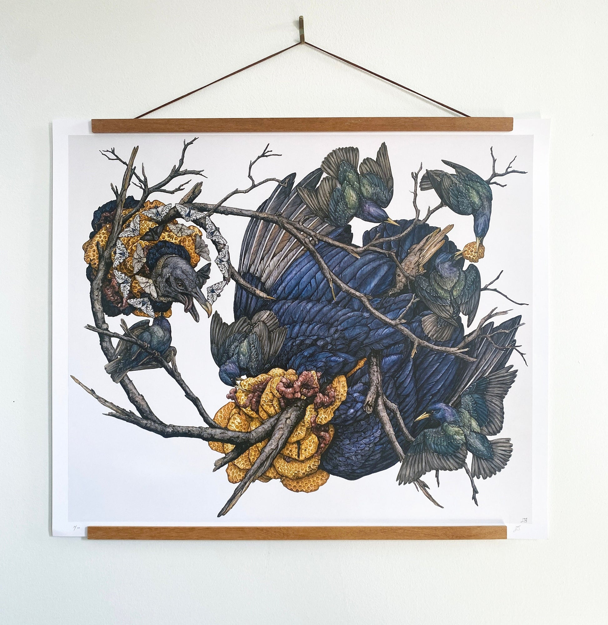 Honey Limited Edition Print