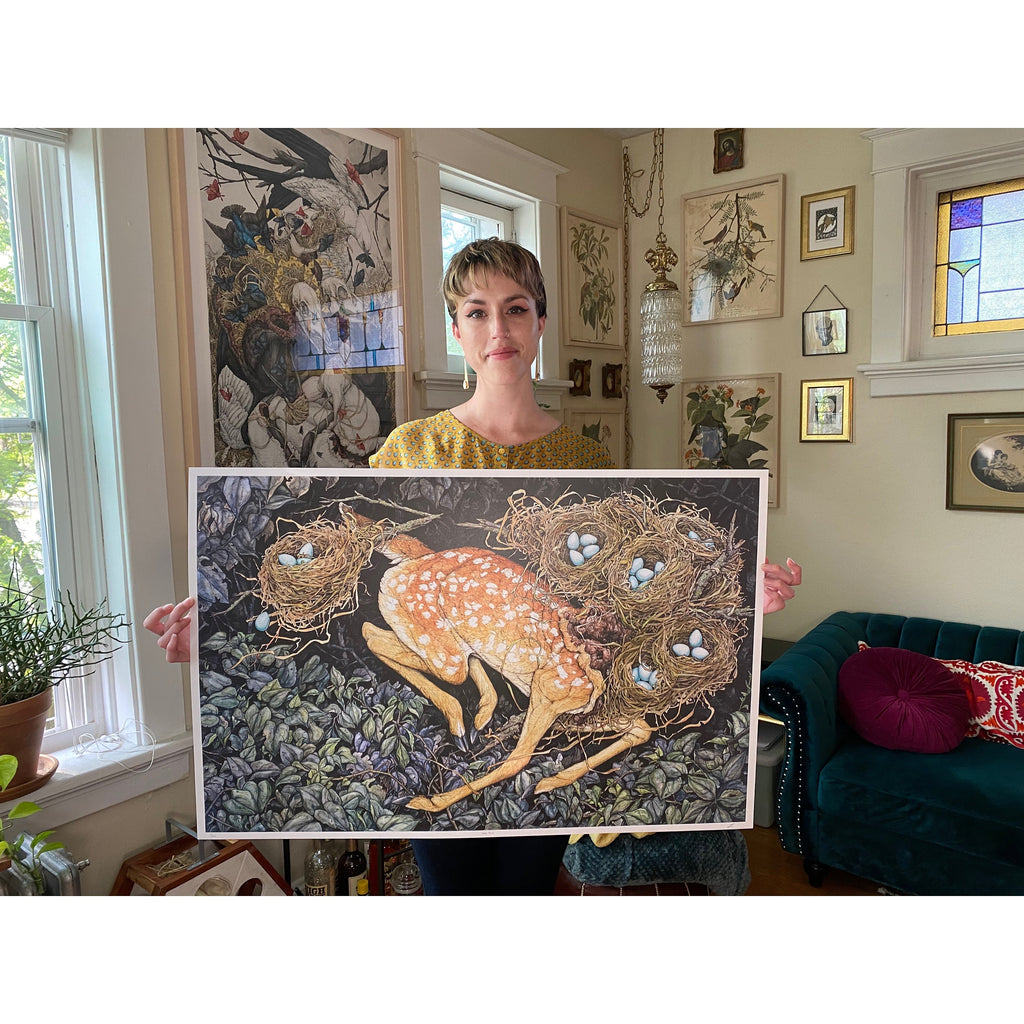 Nested Fawn Limited Edition Print
