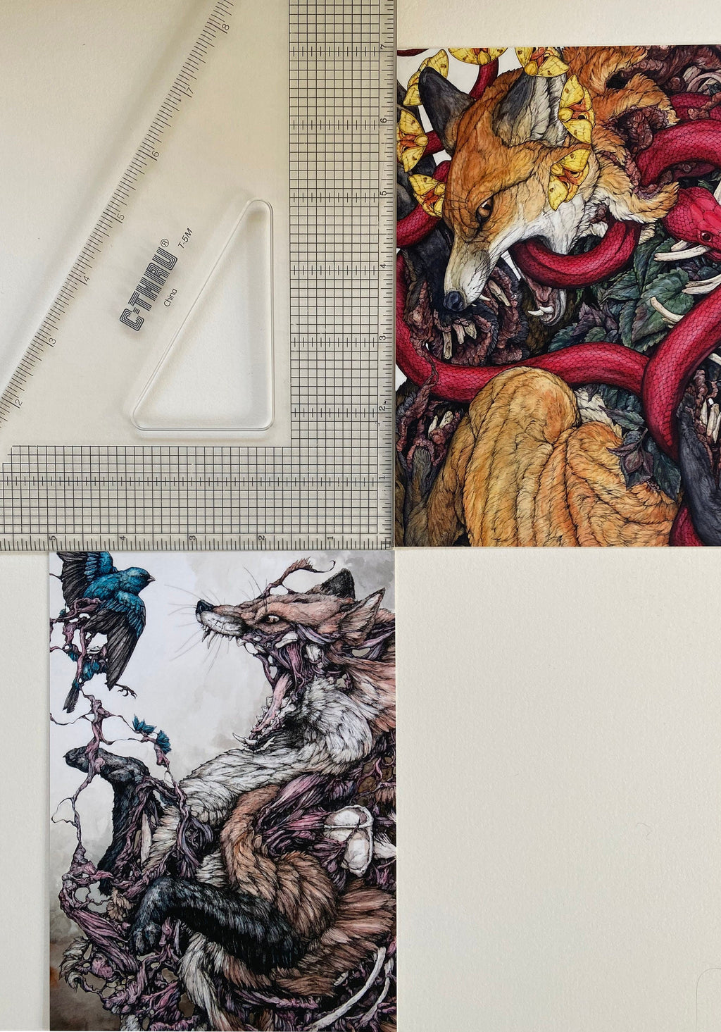 25 Piece Postcard Set: Version 1