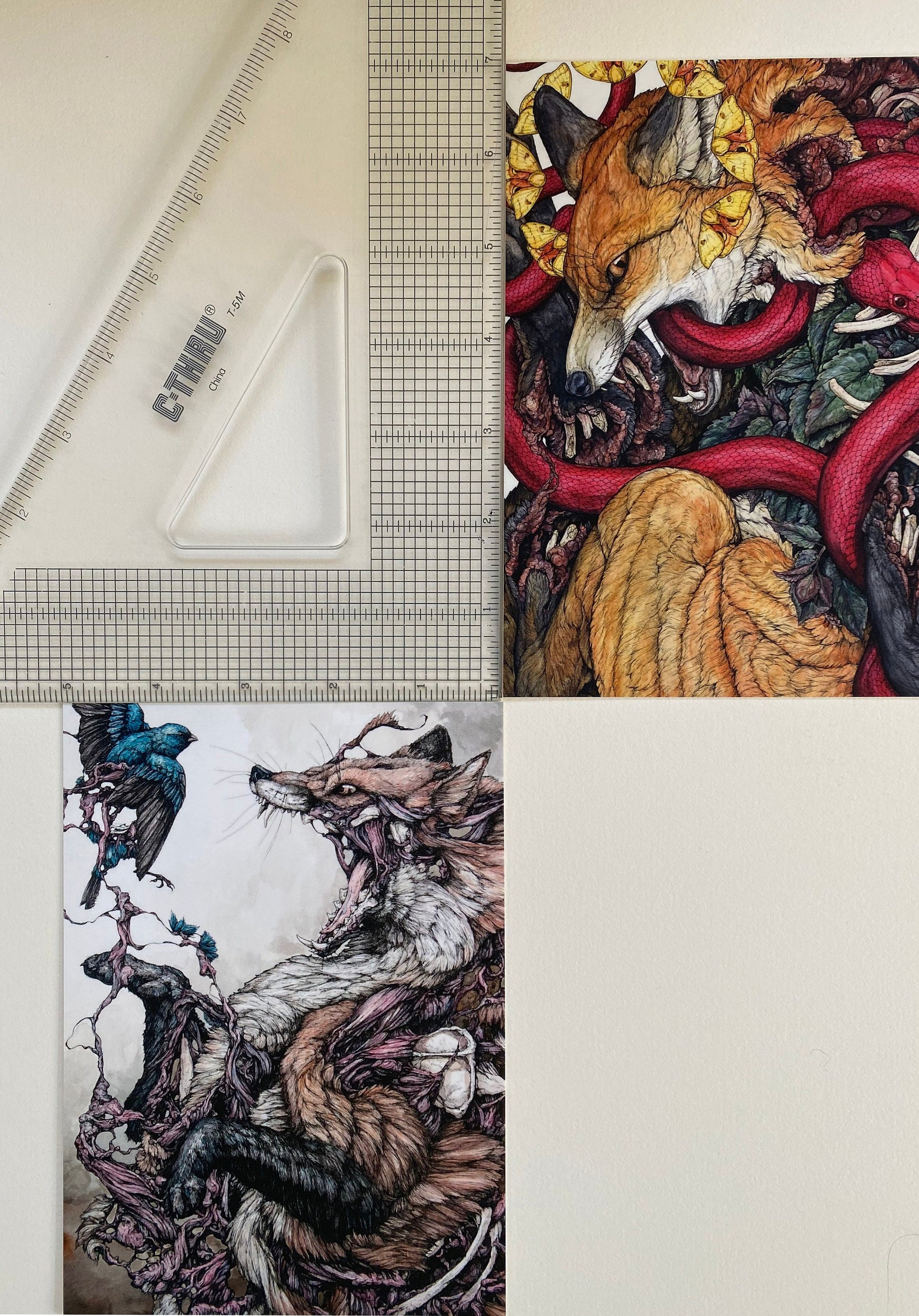25 Piece Postcard Set: Version 1