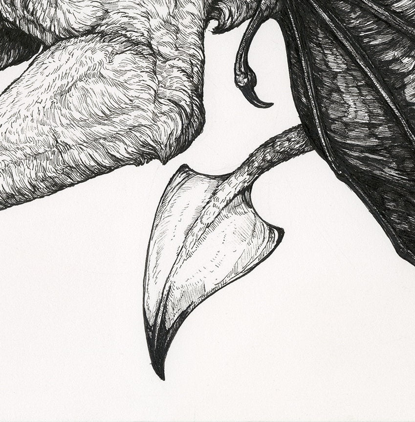 Demon Dog Limited Edition Print