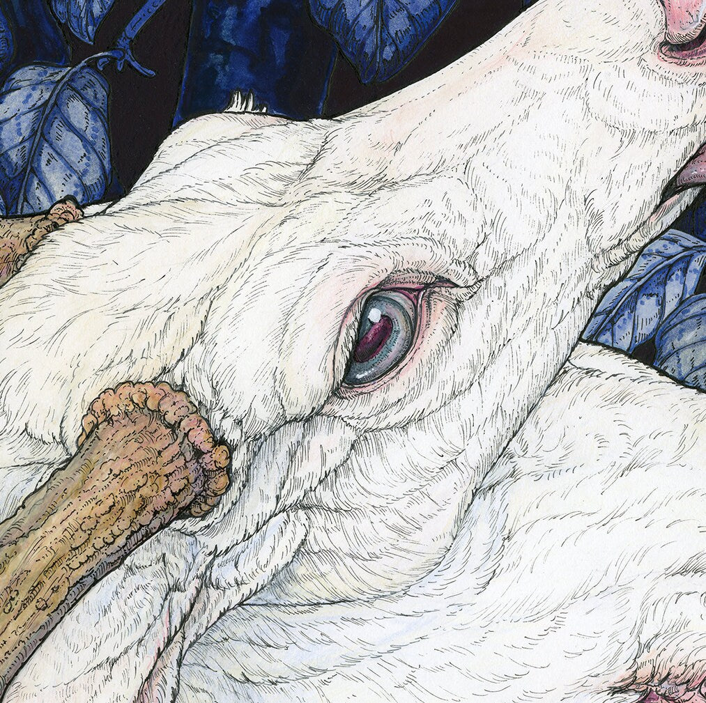 Curse of the Preternatural King Limited Edition Large Print