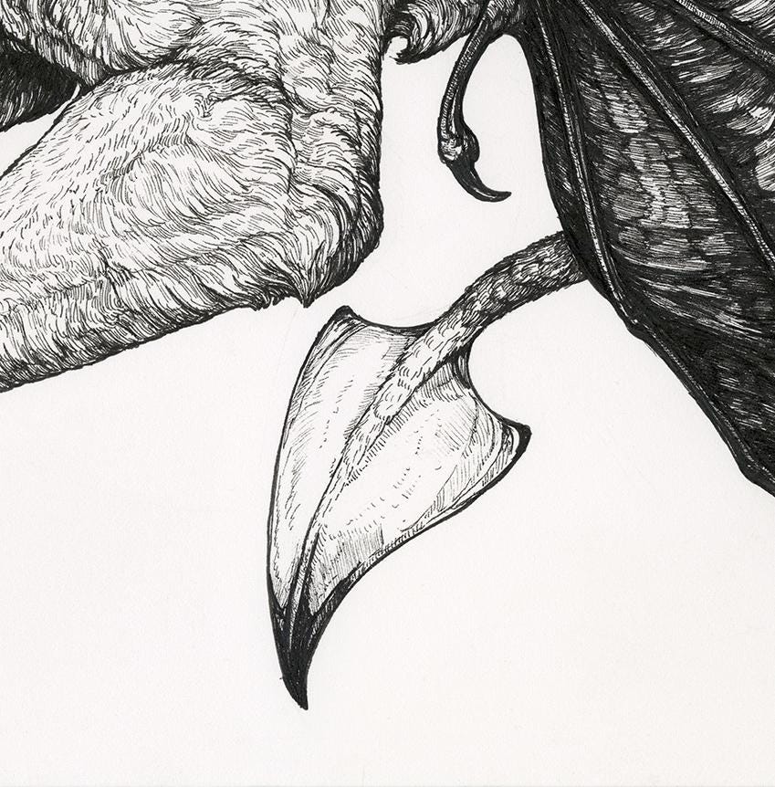 Demon Dog Limited Edition Mini Print