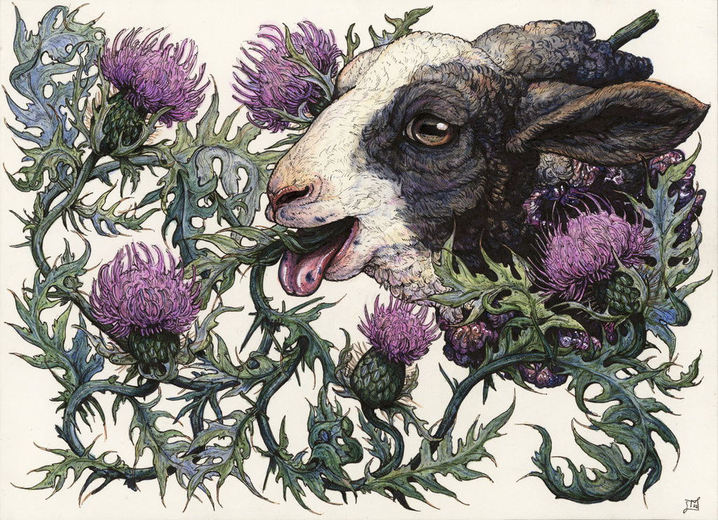 Bleat Limited Edition Print