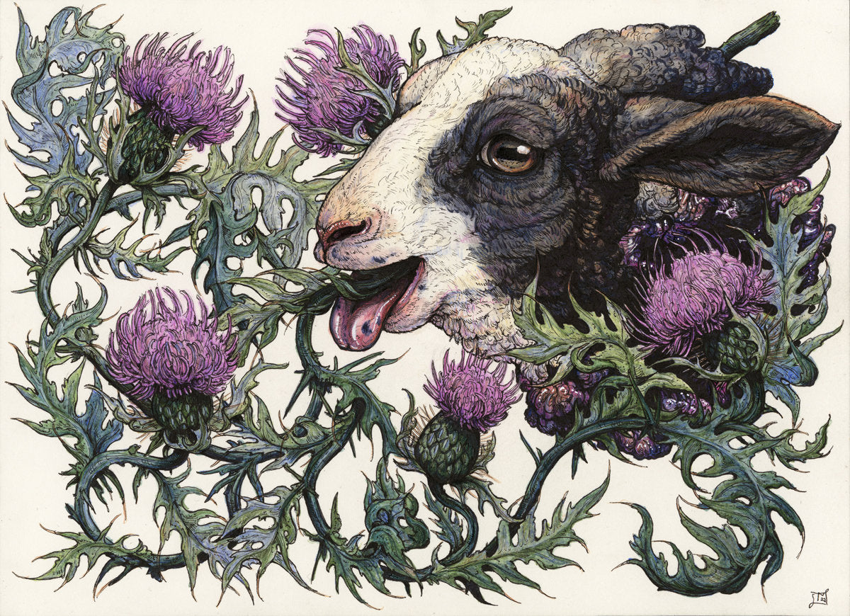 Bleat Limited Edition Print