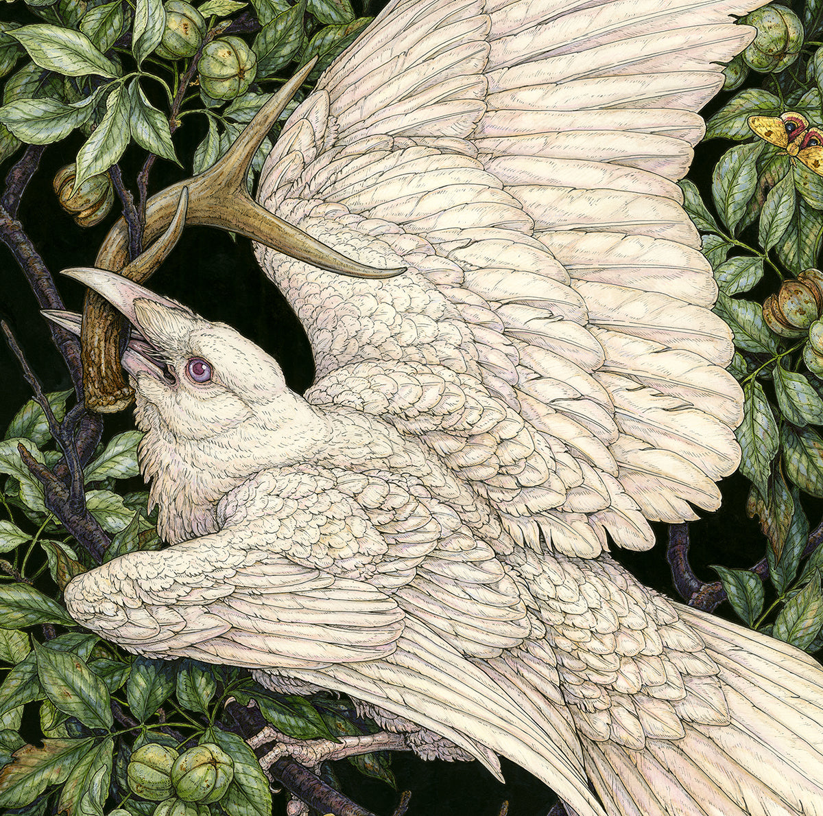 American Raven Original Watercolor