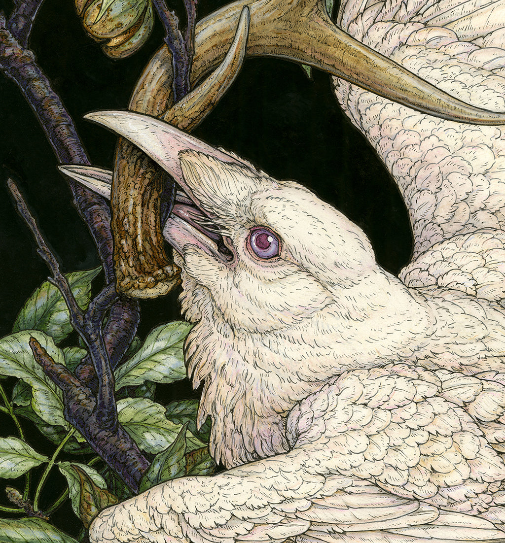 American Raven Limited Edition Print