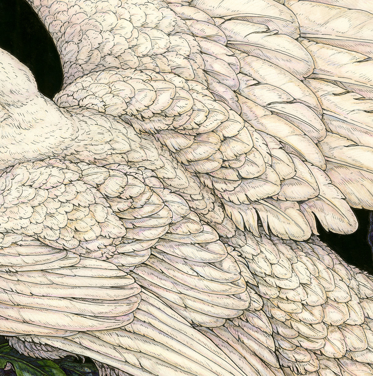 American Raven Original Watercolor