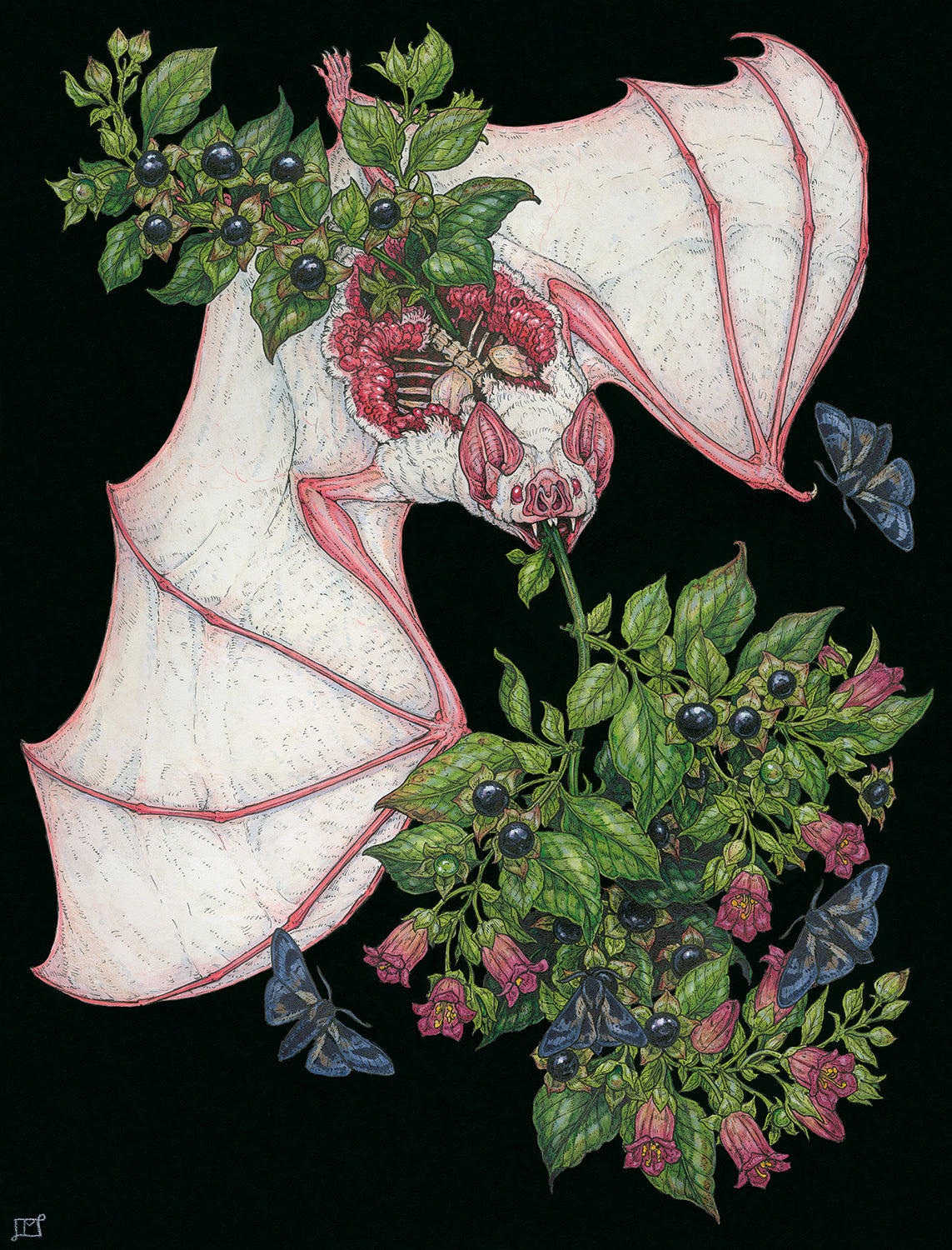 Belladonna Original Watercolor