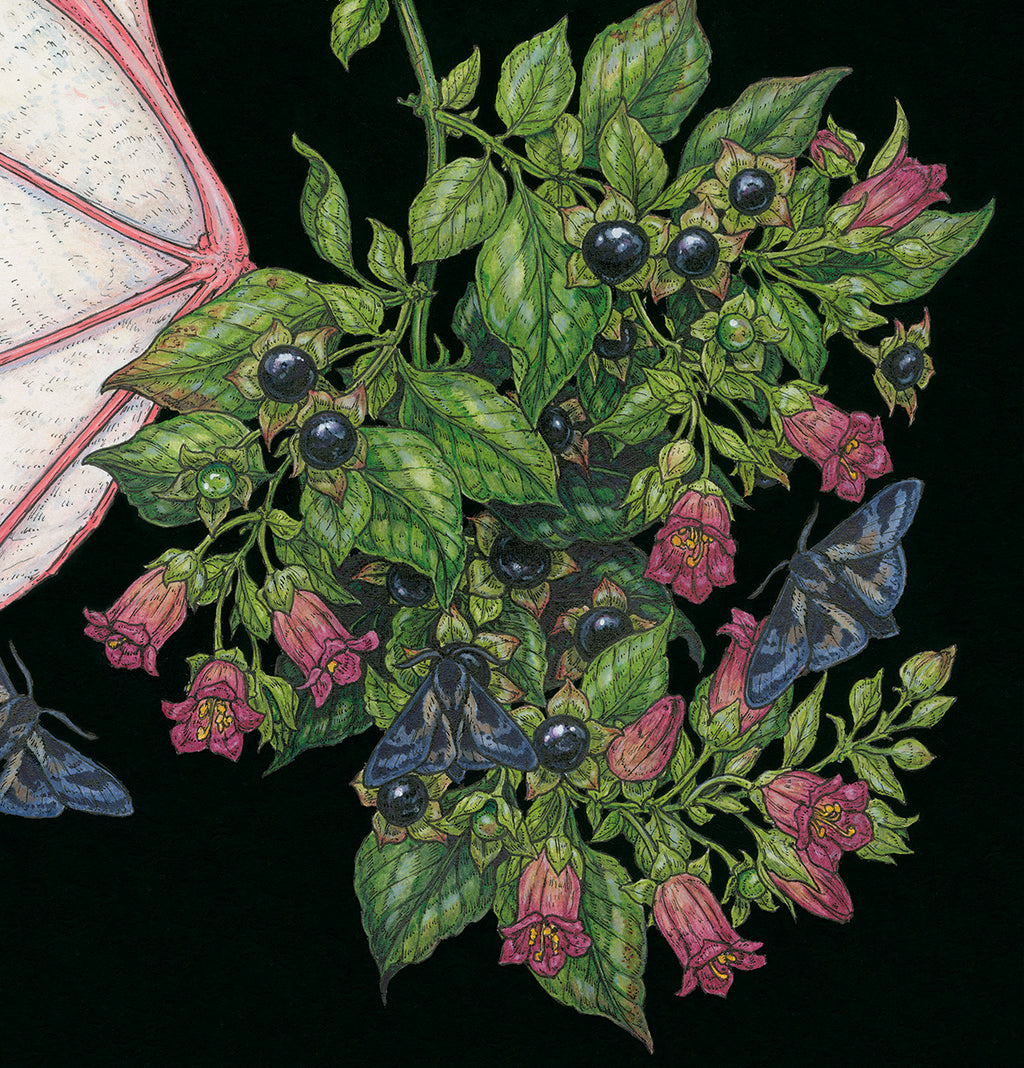 Belladonna Limited Edition Print